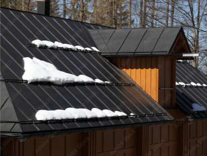 Metal Roofs